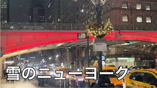 【vlog】雪のニューヨークNew York Trip 1 🇺🇸アメリカ駐在妻、主人の出張に合わせて行かせていただきました
