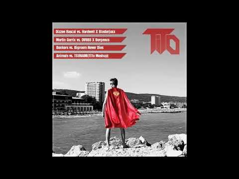 Dizzee Rascal vs.Hardwell vs.Martin Garrix vs.DVBBS - Bonkers vs.Bigroom vs.Animals vs.TSUNAMI