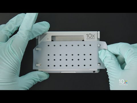 Single Cell Gene Expression Protocol v3.1 | Assemble Chromium Next GEM Chip G