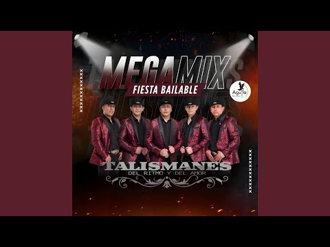 MEGAMIX FIESTA BAILABLE
