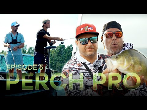 PERCH PRO 11 - Episode 5