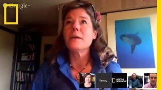 Hangout: Protecting the Ocean And Its Creatures | National Geographic