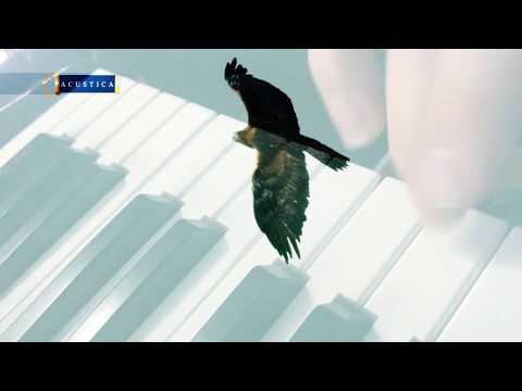 Powrócę -  Zespół Acustica Live