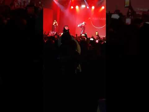 PLT Gig 17th Feb London