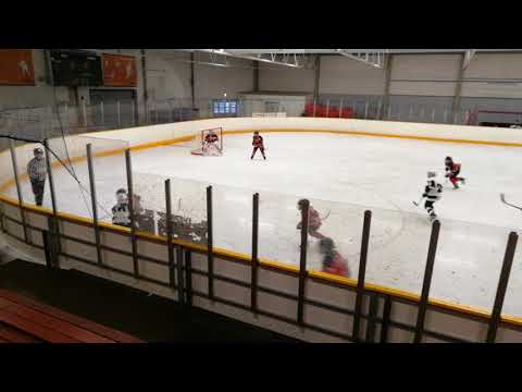 Ässät wild-Tps kaitsut 08