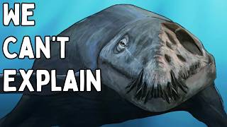 Download lagu Prehistoric Animals Preserved So Well They Look Like Roadkill mp3