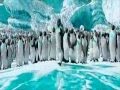Happy Feet Mumble X Gloria Music Sounds Better With You