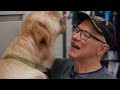 Lions In Connecticut Assist Veterans With PTSD ECAD Lions Club Branch Service Dog