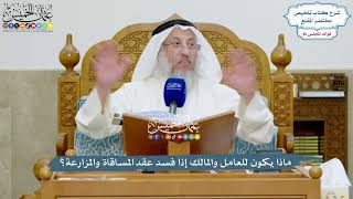 3961 - ماذا يكون للعامل والمالك إذا فسد عقد المساقاة والمزارعة؟ - عثمان الخميس