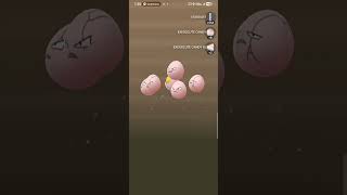 pokemon go egg hatch