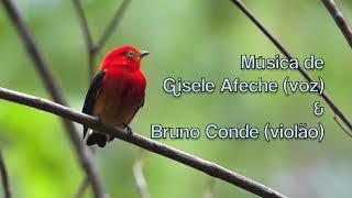 O Canto do Uirapuru - Bruno Conde &amp; Gisele Afeche