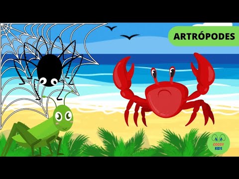 Artrópodes - Animais invertebrados para crianças  - Cocoy Kids
