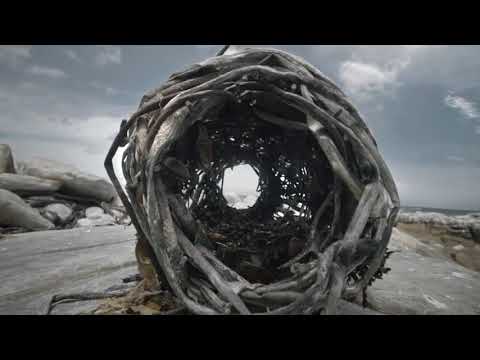 Cgi Vfx Spot Hd: "bamboseal" By - Mikros Image