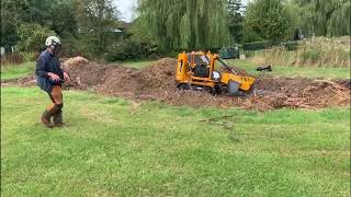 Album cover: Cedardale Tree Surgeons at work