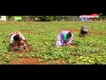 Organic Vivasayi Farmer Shivasakthi 30 Apr 2017