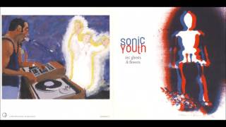 Sonic Youth - NYC Ghosts & Flowers (2000) [Full Album]