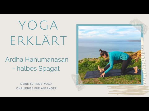 Tag 23 | Yoga erklärt | Ardha Hanumanasan | Das halbe Spagat |#Pantheryoga