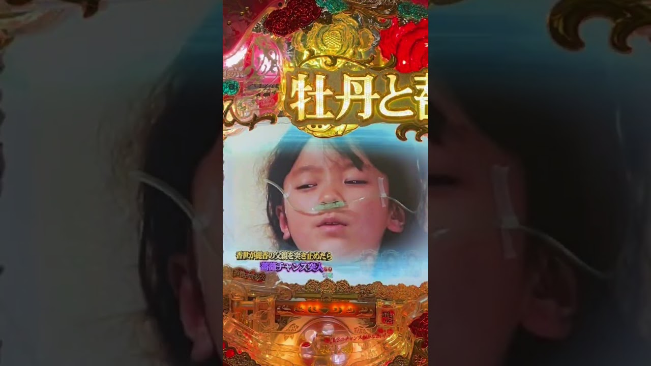 Shorts 牡丹と薔薇