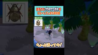 【あつ森】雑談に夢中になり目当ての虫をスルーしてしまう実況者