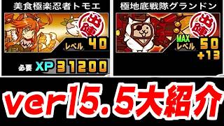 【にゃんこ大戦争】ver15.5アプデ来たァ！グランドン第四形態！トモエ第三形態！服部半蔵に本能追加！レイカに超本能追加！一気に見ていくぜ！【本垢実況Re#2444】