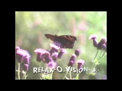Relax-o-vision, Only the 