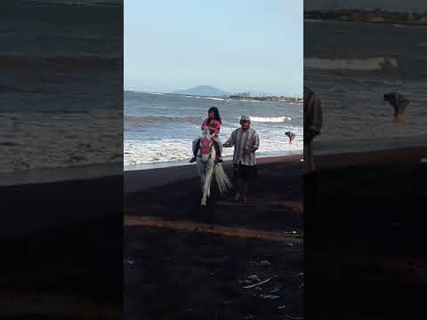 Berkuda di pantai boom banyuwangi