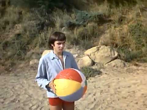 The Monkees - Shades of Gray