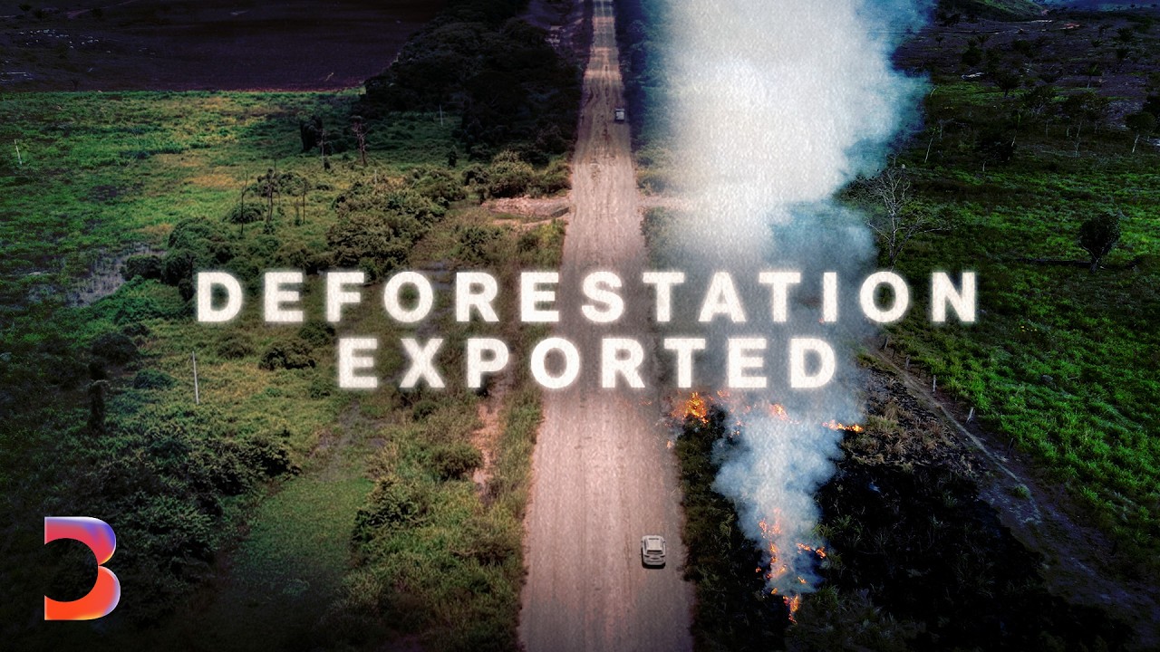 Bolivia’s Amazon Is Quietly Changing Hands