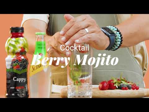 Schweppes Cocktails  -  3 Easy recipe