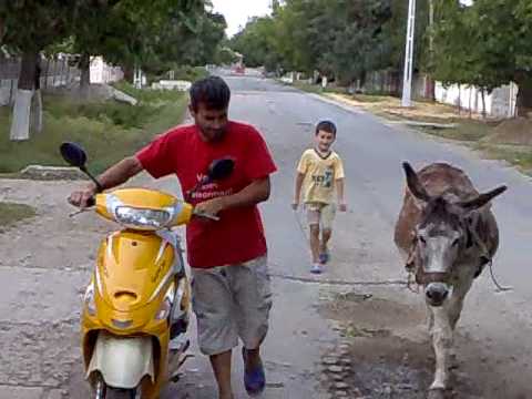 Moda Copaceanca...Scuter cu un magar putere