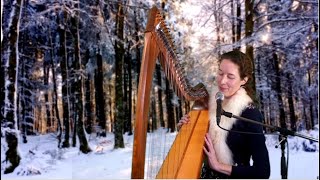 "To Drive the Cold Winter Away" (Celtic Harp &amp; Vocals) - Livestream Concert Excerpt Jan 3rd 2021