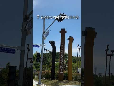 [2025 영천시 숏폼 콘텐츠 공모전 장려상 수상작] 뚜벅이의 영천 여행 - 신희정