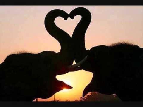 Richard Birman Fanm sé doulé