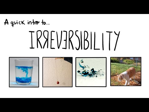 A quick intro to Irreversibility