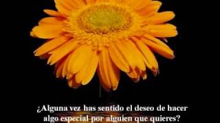 11 de agosto de 2016