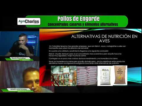 , title : 'Concentrados caseros y Alimentos Alternativos para pollos'