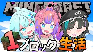 綺々羅々ヴィヴィ - 【 Minecraft 】初めてのマイクラワンブロック生活！DAY2！【#綺々羅々ヴィヴィ #hololiveDEV_IS #FLOWGLOW】