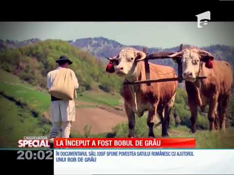 SPECIAL! Poveştile neştiute ale satului românesc se sting împreună cu tradiţiile agrare