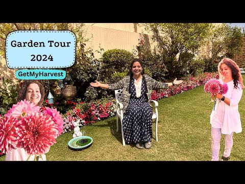 Garden Tour 2024 | Garden is full of flowers | GetMyHarvest #gardentour