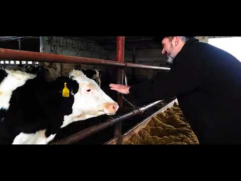 Pedro Bandita - Pedro Bandita