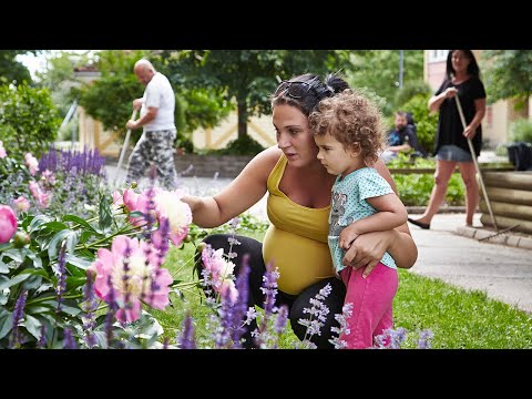 Vad är Allmännyttan?