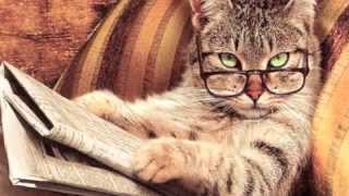 My Twin Sister Sylvia Promo