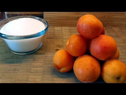 download lagu mp3 mp4 Apricot Jam From Frozen Apricots, download lagu Apricot Jam From Frozen Apricots gratis, unduh video klip Apricot Jam From Frozen Apricots