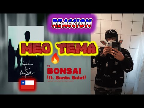 MEO TEMA🇨🇱 CHYSTEMC, SANTA SALUT - BONSÁI (Prod. MANI DEÏZ) [Videoclip]