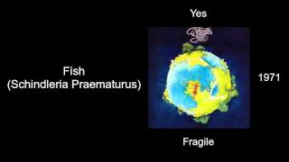 Yes - Fish (Schindleria Praematurus) - Fragile [1971]