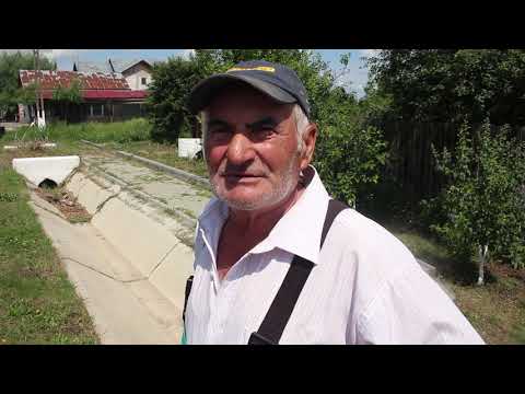 Pesta porcina Clejani  Covalact