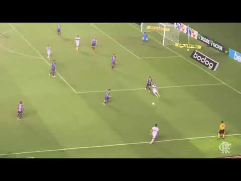 Gol do Everton Ribeiro contra o Bahia visto da arquibancada - Golaço do Everton Ribeiro