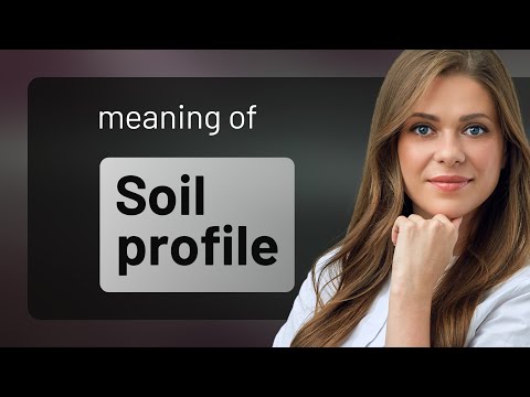 Understanding the Layers of Earth: Soil Profile