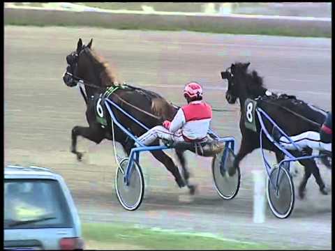 Trotto 07/12/2014 - 1° corsa