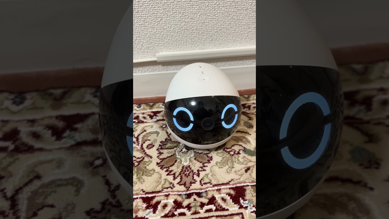 ロボとーちゃんが返事しなくなった...と焦った「帰ってきて！」　 #ペットカメラ #見守りカメラ #見守りロボット #rolamini #ロボとーちゃん  #whatthepet